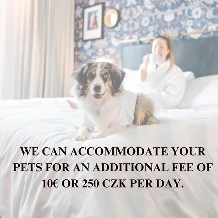 Loft Cozy In Center *